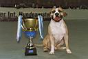 21 - Trouble Pokal 1.jpg